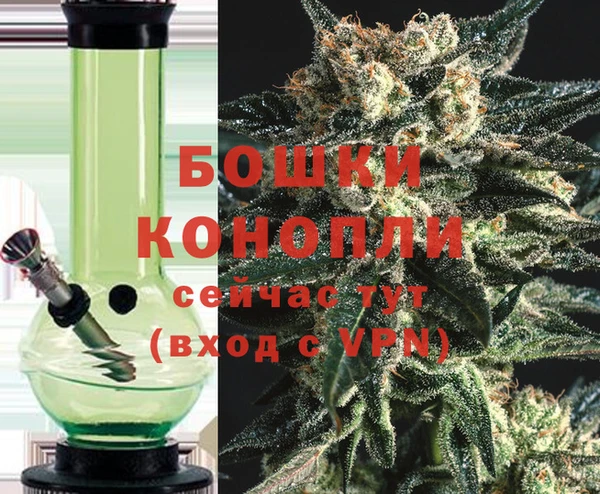 сатива Баксан